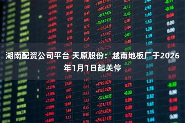 湖南配资公司平台 天原股份：越南地板厂于2026年1月1日起关停