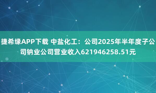 捷希缘APP下载 中盐化工：公司2025年半年度子公司钠业公司营业收入621946258.51元